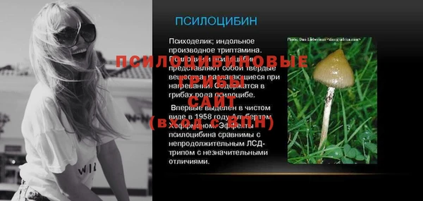 винт Осташков