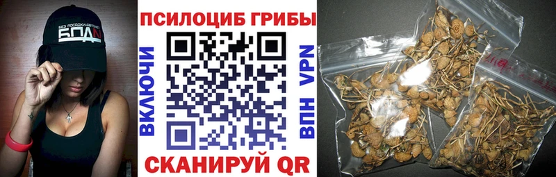 Псилоцибиновые грибы прущие грибы  Отрадный 