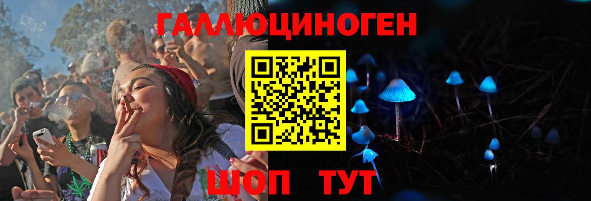Псилоцибиновые грибы мицелий  Вход с VPN  Отрадный 